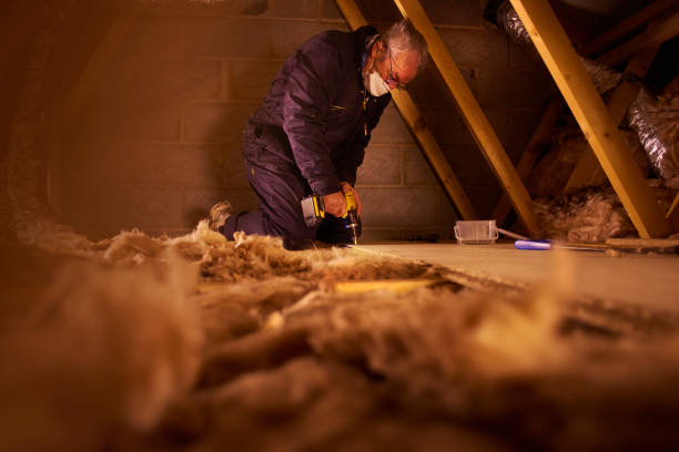 Best Cellulose Insulation in Windsor, CO